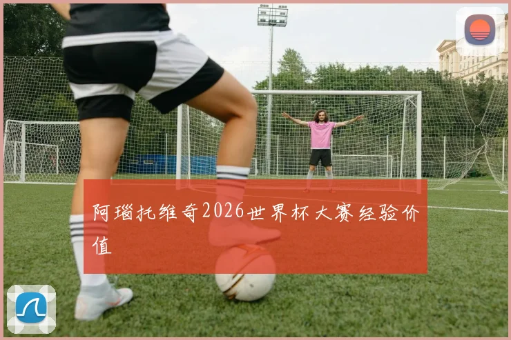 阿瑙托维奇2026世界杯大赛经验价值