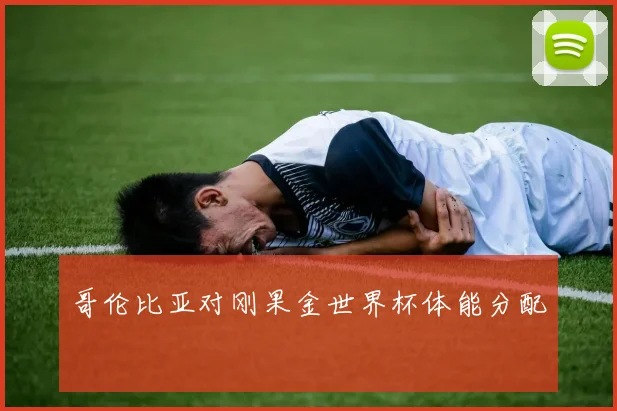 哥伦比亚对刚果金世界杯体能分配
