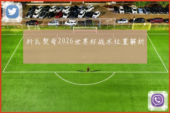 科瓦契奇2026世界杯战术位置解析