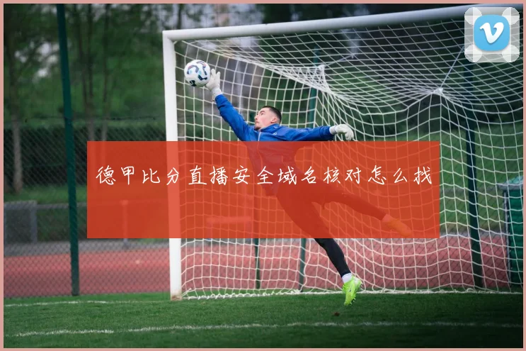 德甲比分直播安全域名核对怎么找