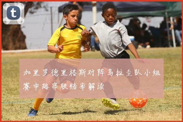 加里罗德里格斯对阵乌拉圭队小组赛中路串联赔率解读