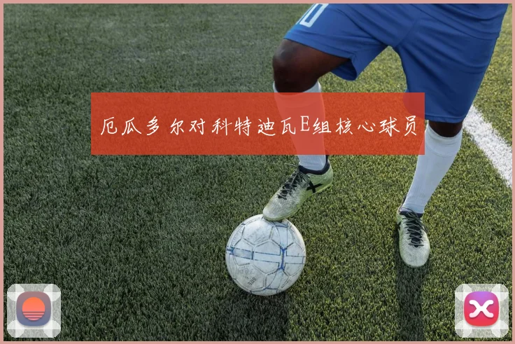 厄瓜多尔对科特迪瓦E组核心球员
