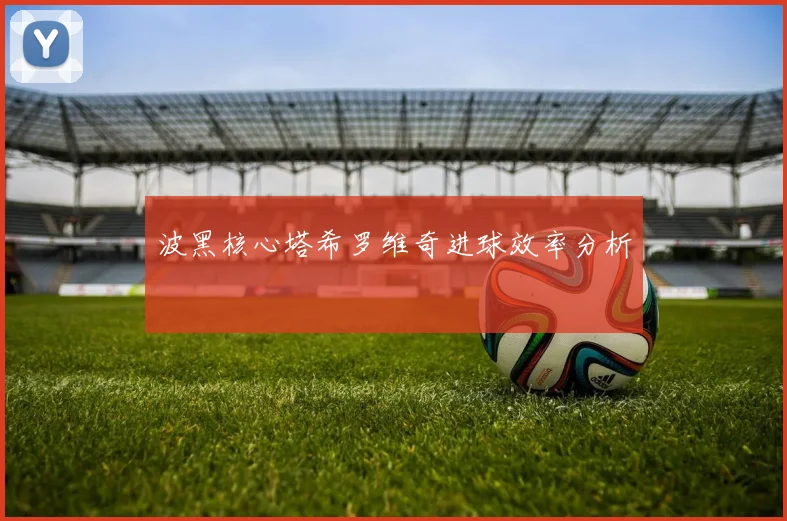 波黑核心塔希罗维奇进球效率分析