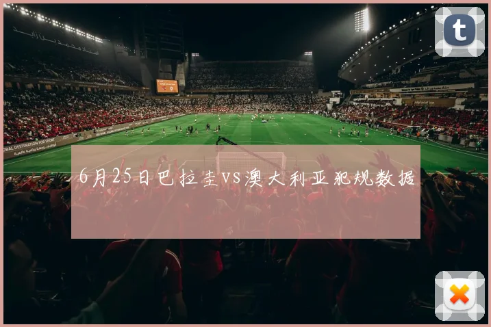 6月25日巴拉圭vs澳大利亚犯规数据