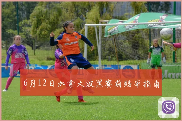 6月12日加拿大波黑赛前赔率指南