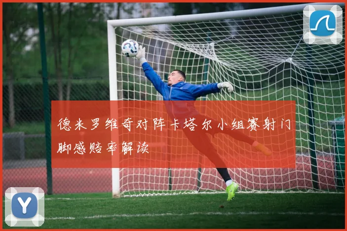 德米罗维奇对阵卡塔尔小组赛射门脚感赔率解读
